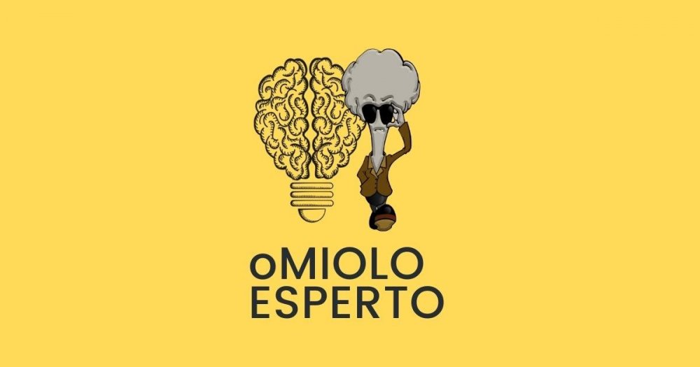 Capa site compartilhamento.jpg