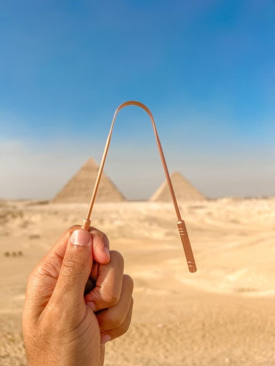 WhatsApp Image 2023-03-30 at 20.40.50.jpeg